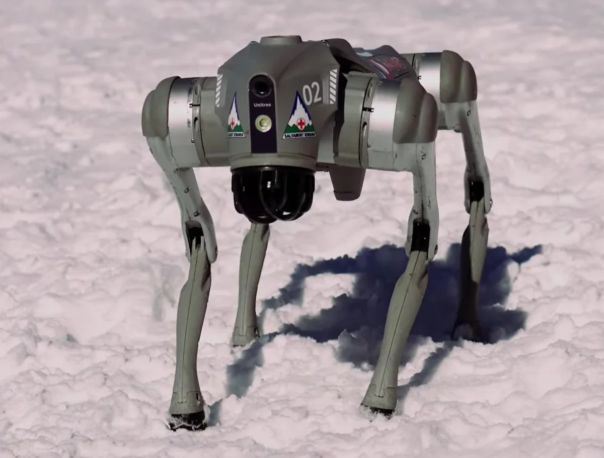 Unitree Go2 quadruped robot standing in snow, wearing Romanian mountain rescue markings