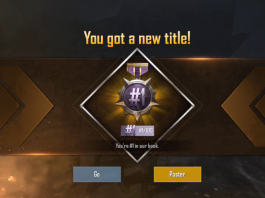 #1/100 PUBG Title Guide