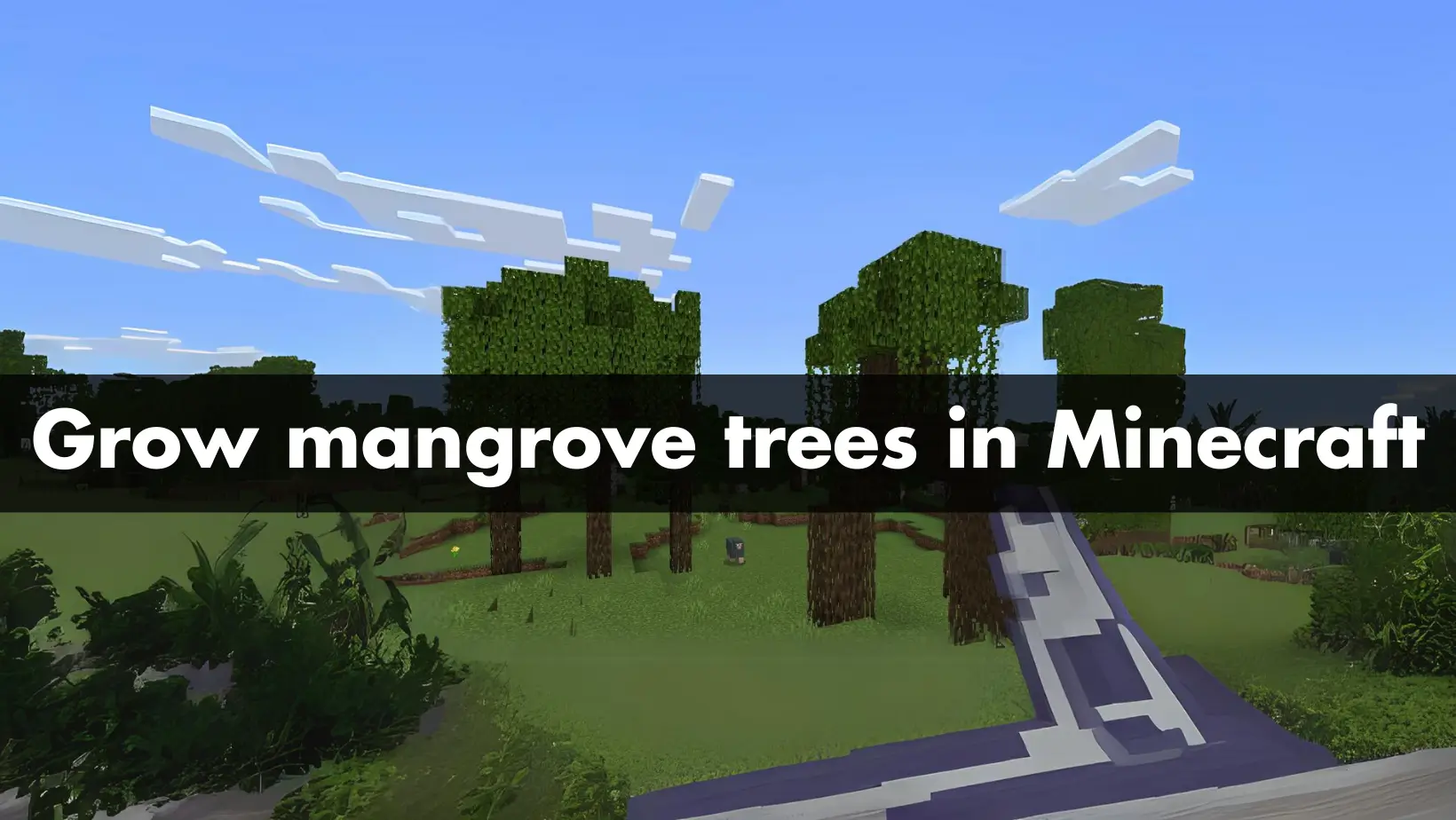 How to grow mangrove trees in Minecraft