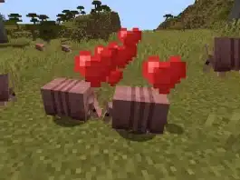 How to Breed Armadillos in Minecraft