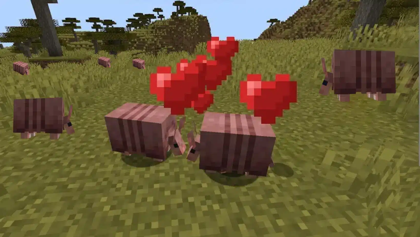How to Breed Armadillos in Minecraft