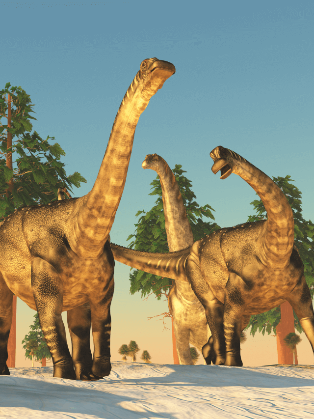 166 Million-Year-Old Dinosaur ‘Highway’ in the UK