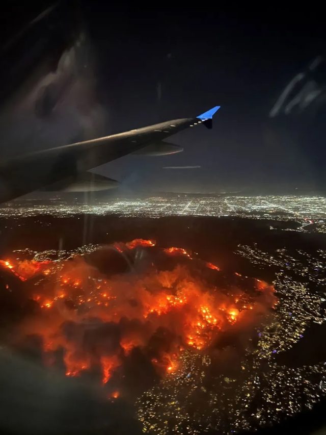 Top Updates: Curfew Declared Due to Looting Reports while Los Angeles Battle Wildfires