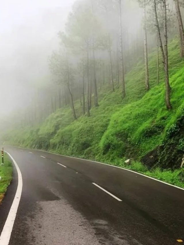 Discover 5 Hidden Scenic Road trip Directions From Kufri in Himachal Pradesh
