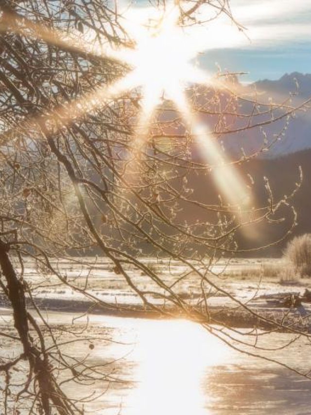 NASA reveals, Why 2024 Was The Warmest Year in the History