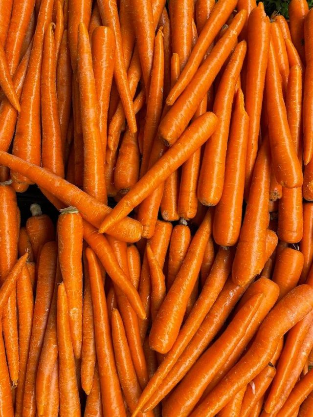 Benefits of Eating Carrots for Daily Health