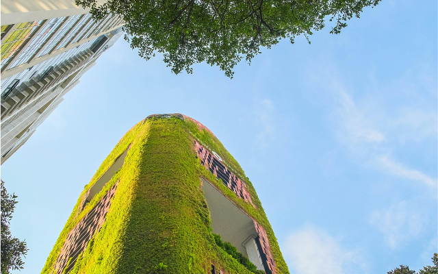 Sustainable Living on a Budget in the USA – 2026 Guide