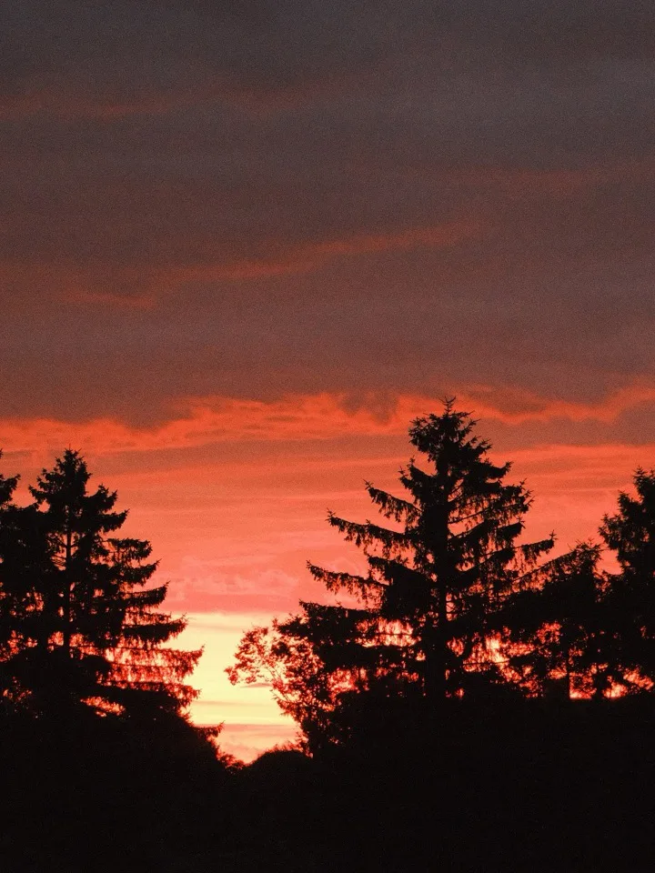 Why Daylight Is Vanishing So Fast Right Now
