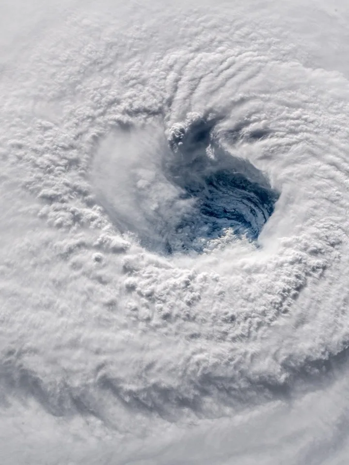 How a Hurricane Forms, From Warm Water to Landfall