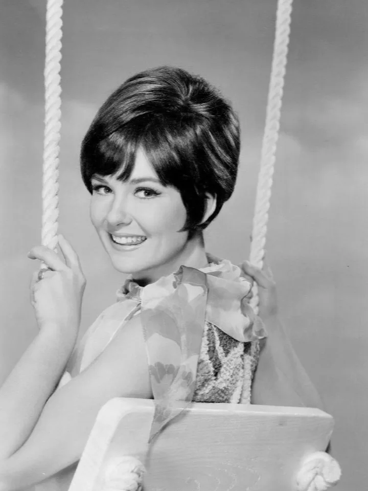 Shelley Fabares Dies at 82: Her Career in 9 Roles