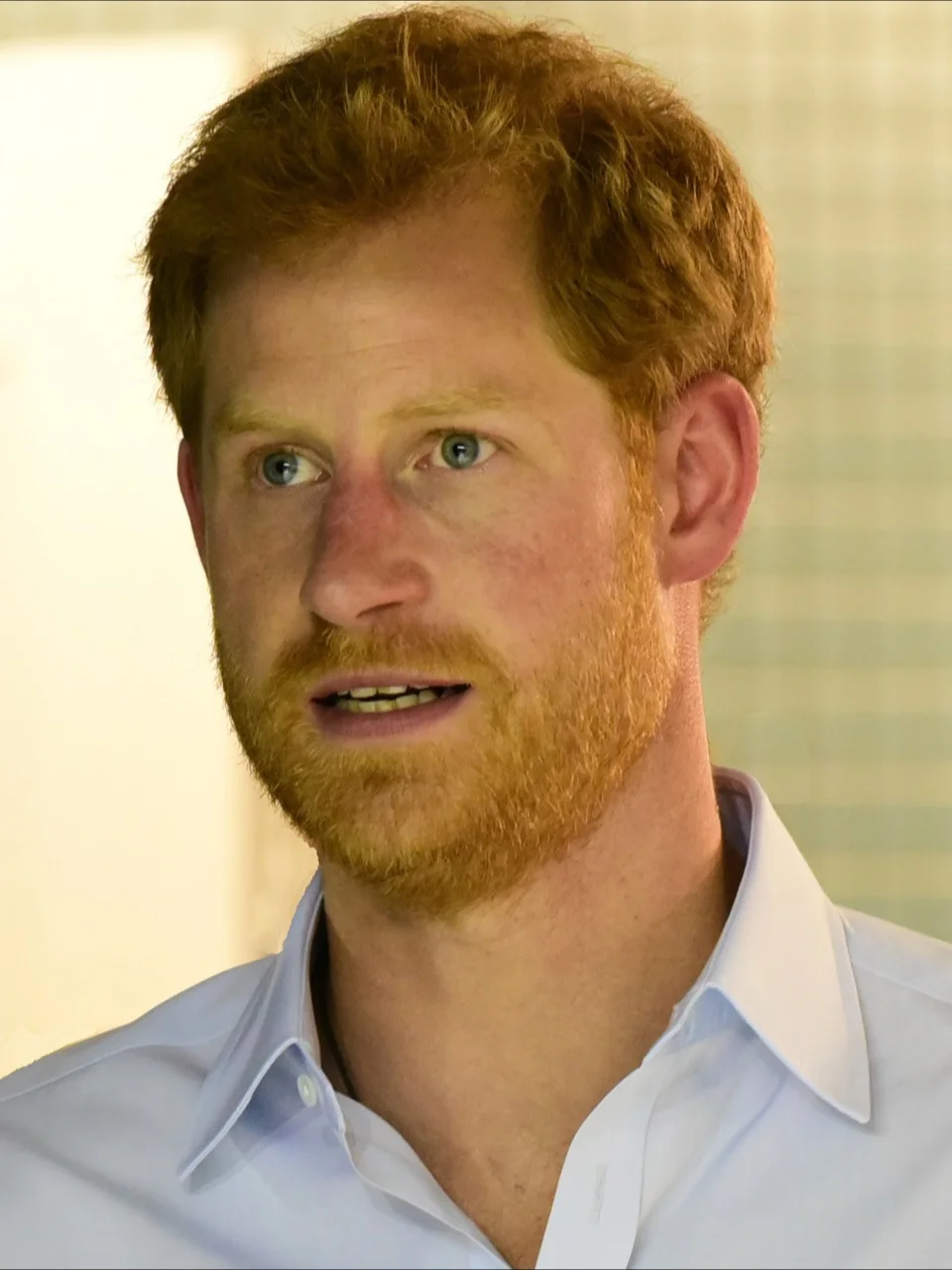 Prince Harry's First Week Back in the UK, Explained