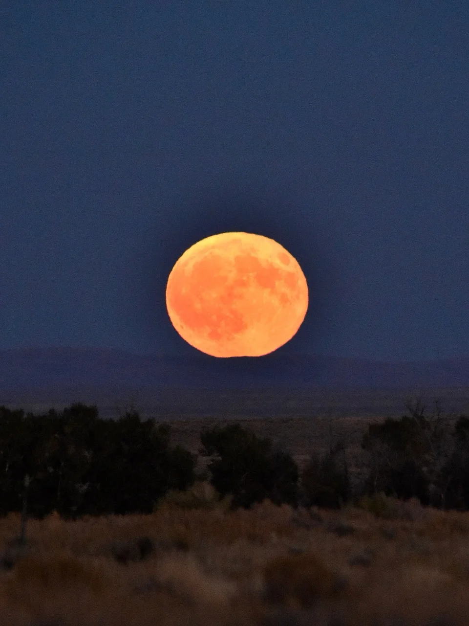 Harvest Moon Tonight: When to See It Rise With Saturn