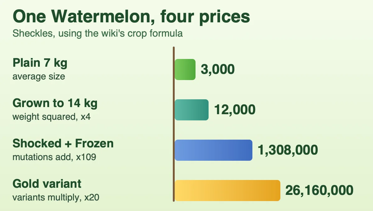 Bar chart of one Watermelon's price in Sheckles: 3,000 plain, 12,000 at double weight, 1,308,000 with Shocked and Frozen, and 26,160,000 as a Gold variant