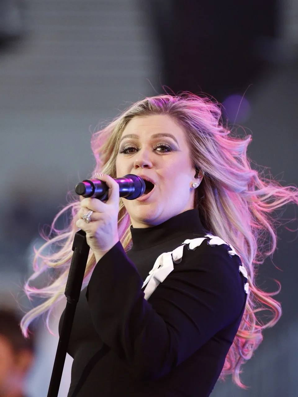 Kelly Clarkson's Brooklyn Store Feud Over a $15,000 Bird, Explained